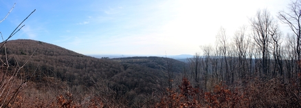 &copy; franzibaer.at